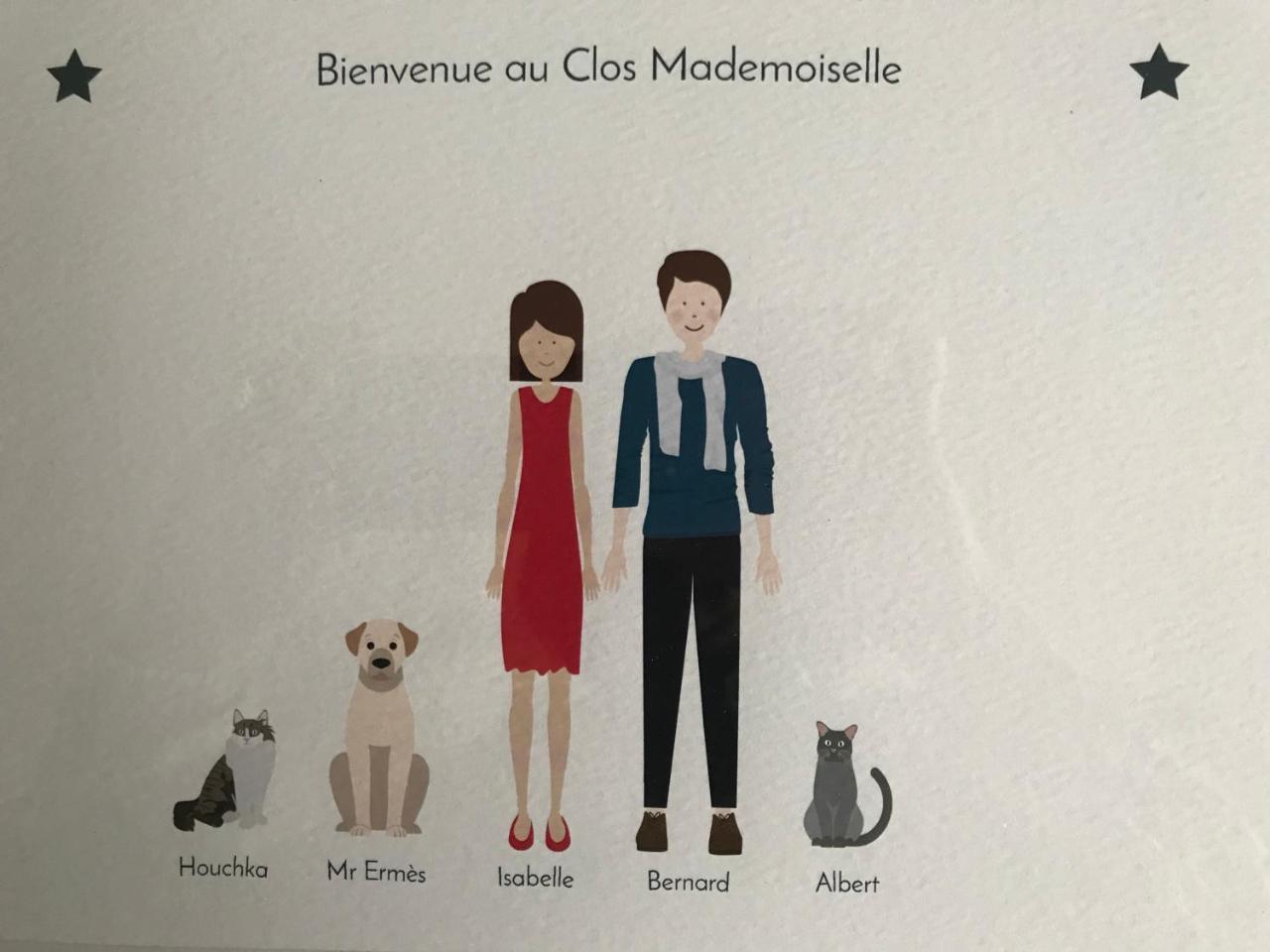 Le Clos Mademoiselle Loches Kültér fotó